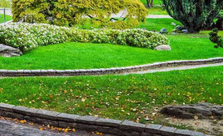 Parco Italia
