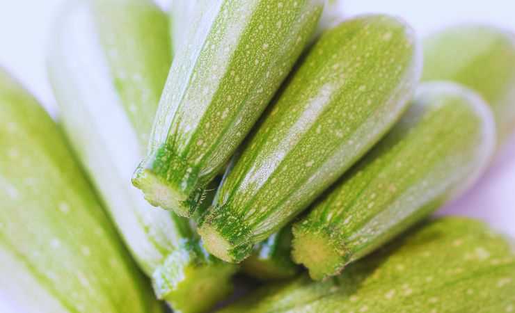zucchine crude